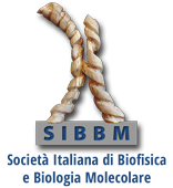 SIBBM